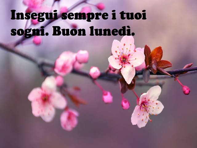 buon lunedì