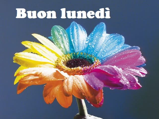 buon lunedì