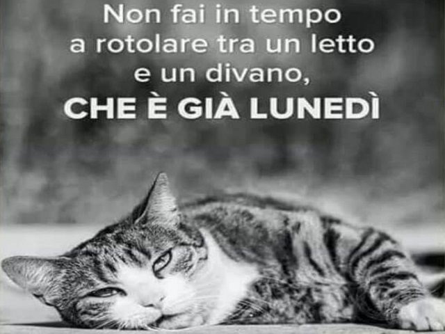 buon lunedì divertente