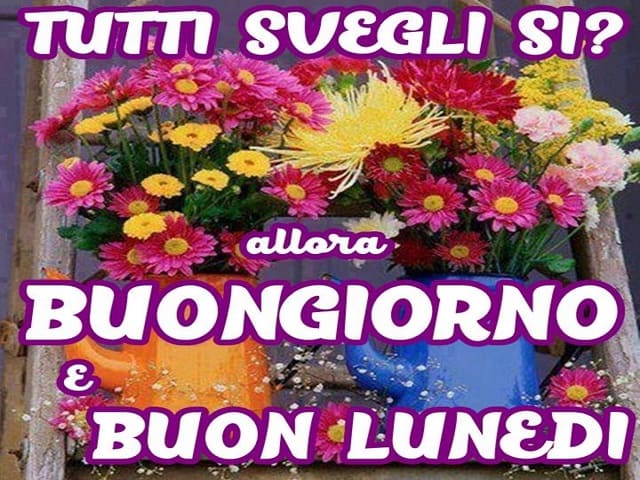 buon lunedì divertente