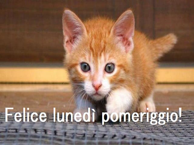 buon lunedì pomeriggio