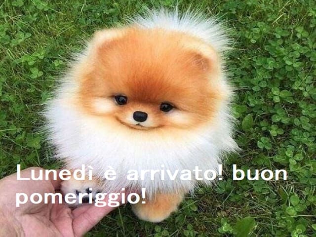 buon lunedì pomeriggio