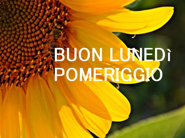 buon lunedì pomeriggio