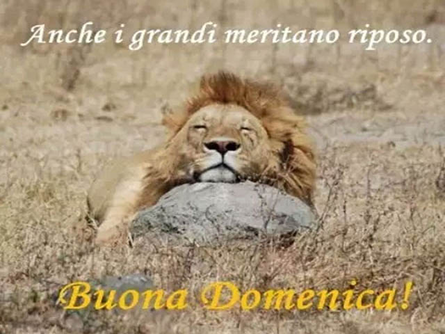 buona domenica amici miei