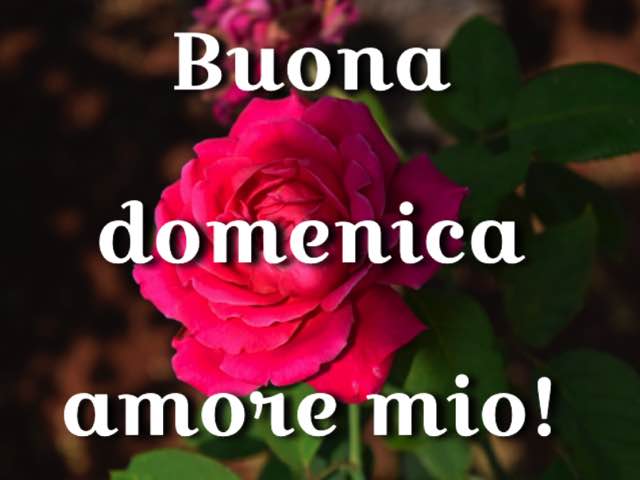 buona domenica amore mio