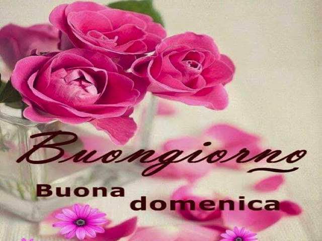 buona domenica immagini spiritose