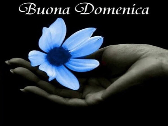 buona domenica in inglese