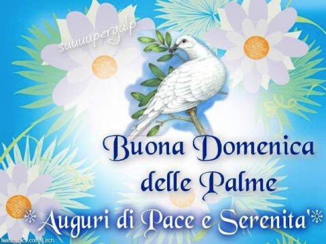 buona domenica palme immagini