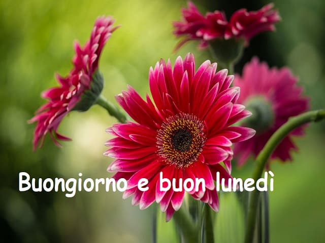 buongiorno e buon lunedì