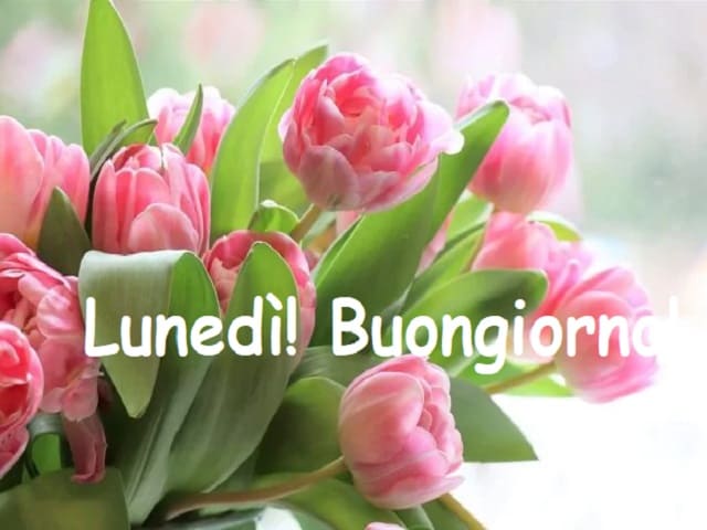 buongiorno e buon lunedì