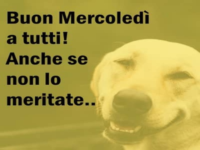 divertente mercoledì 