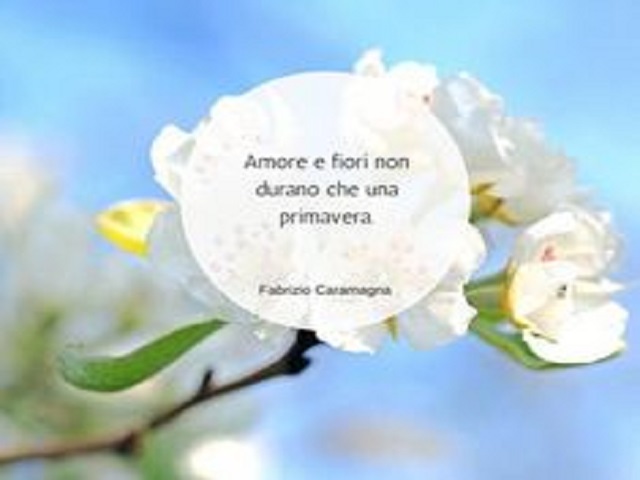 donne che comprano fiori frasi