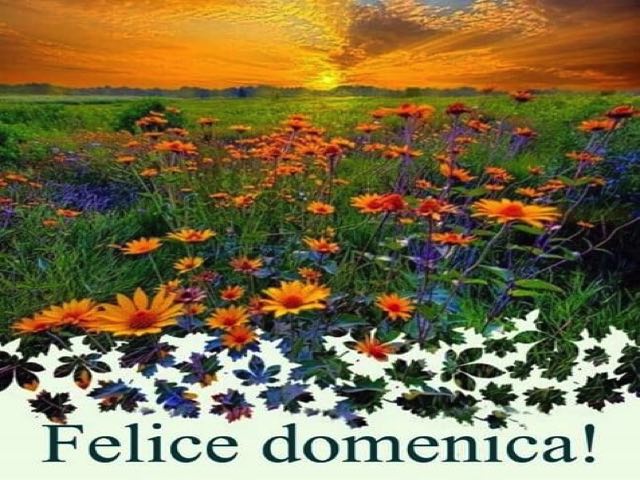 felice domenica