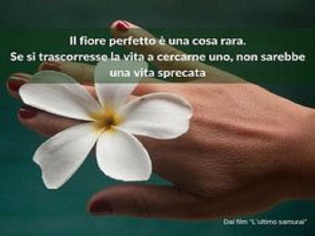 fiori frasi famose