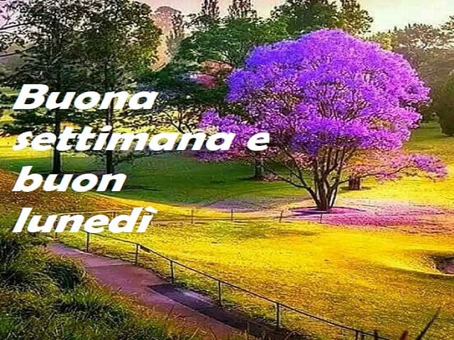 foto buon lunedì