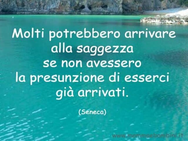 frase sulla saggezza