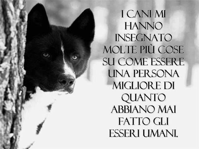 frasi belle cani