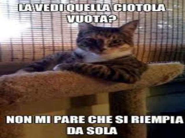 frasi bellissime sugli animali