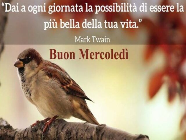 frasi buon mercoledì 