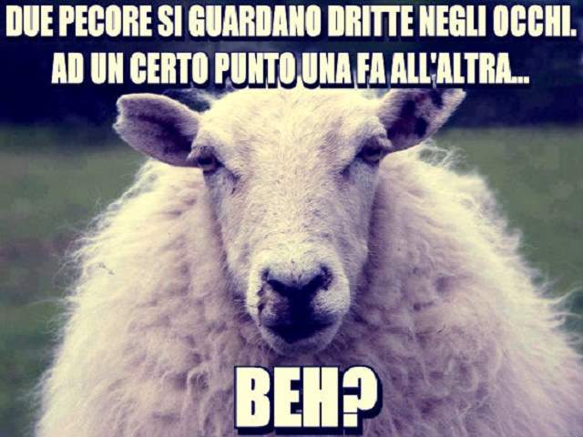 frasi celebri sugli animali 2