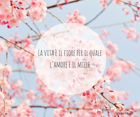 frasi d amore sui fiori