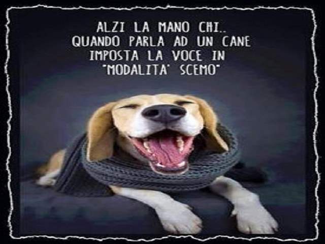 frasi divertenti sugli animali 2