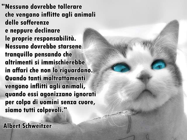 frasi e aforismi sugli animali 2 