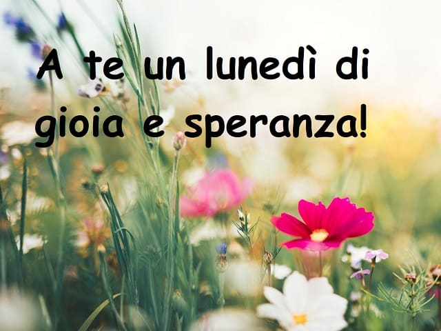 frasi e immagini lunedì