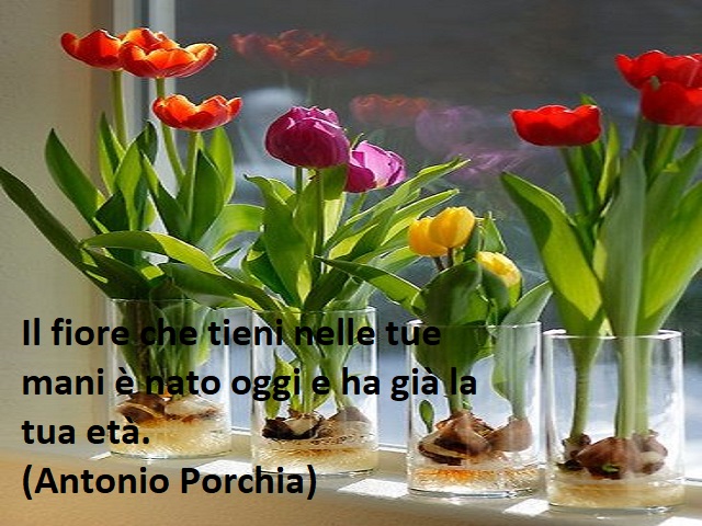 frasi per fiori