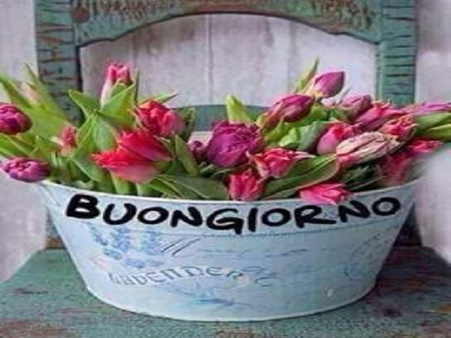 frasi per i fiori