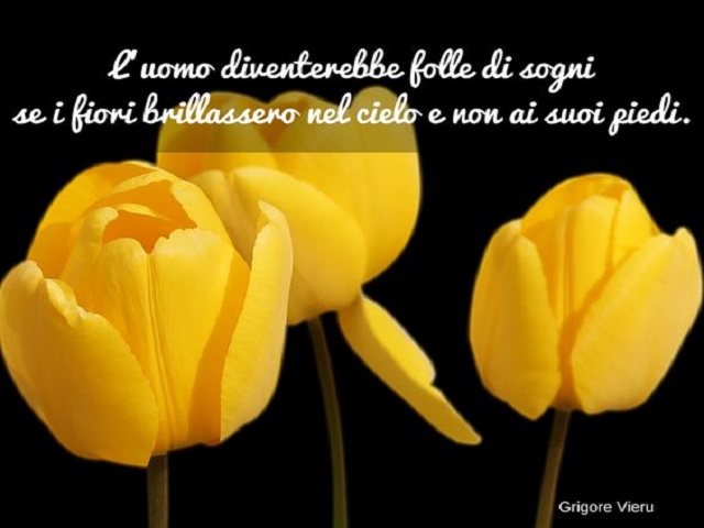 frasi su fiori