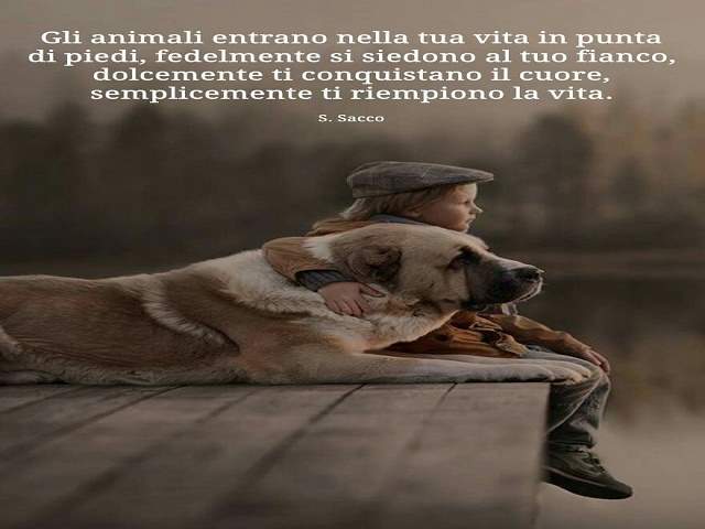 frasi sugli animali cani 2