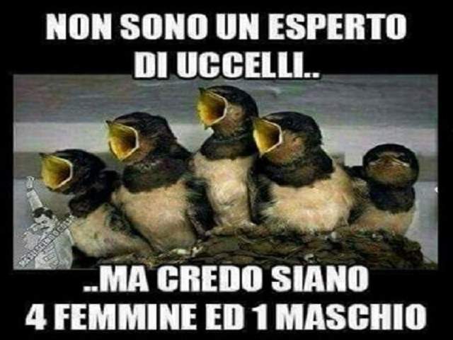 frasi sugli animali domestici 2