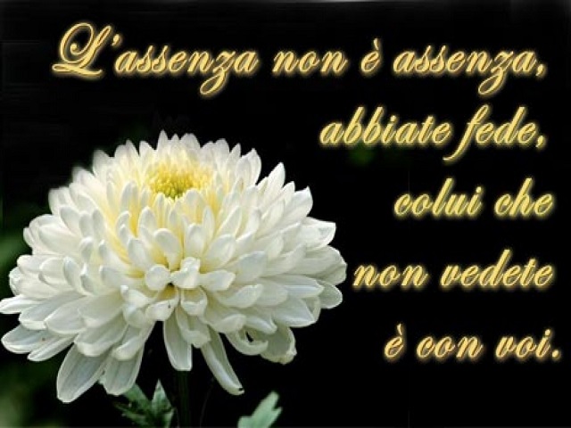 frasi sui fiori di ciliegio