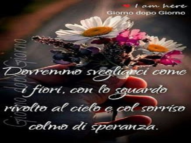 frasi sui fiori e farfalle