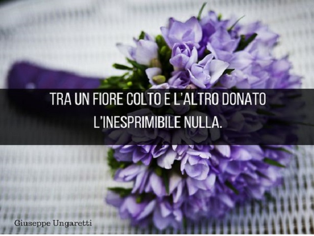 frasi sui fiori rossi