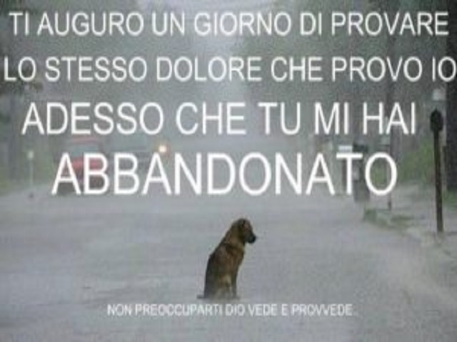 frasi sull'abbandono dei cani