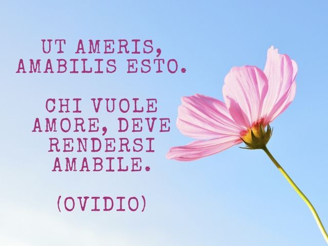 frasi sull amore in latino