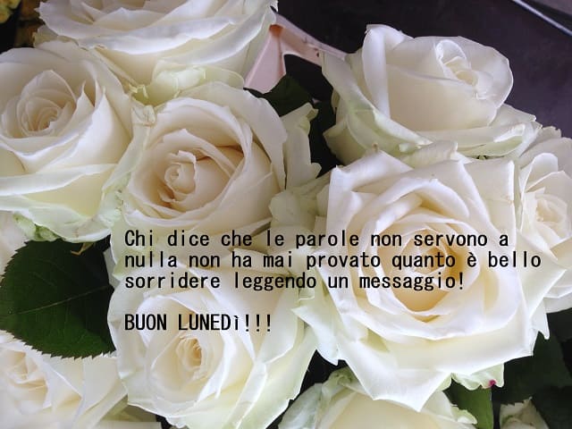 gif buon lunedì