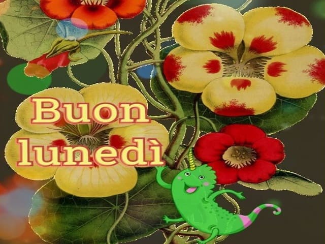 immagini buon lunedì