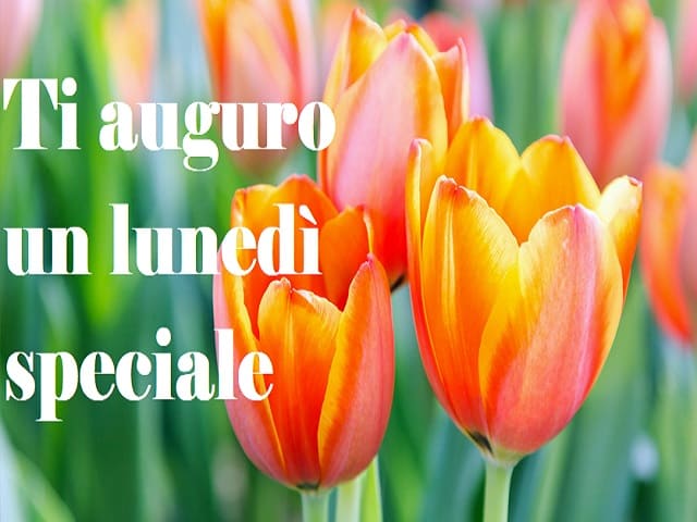 immagini buon lunedì