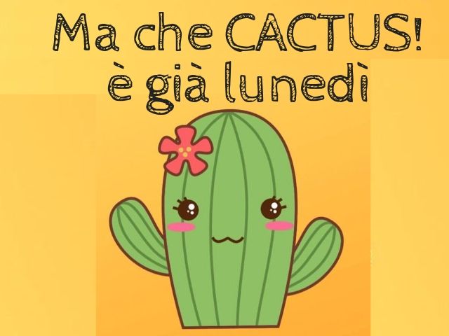 immagini di buon lunedì divertenti