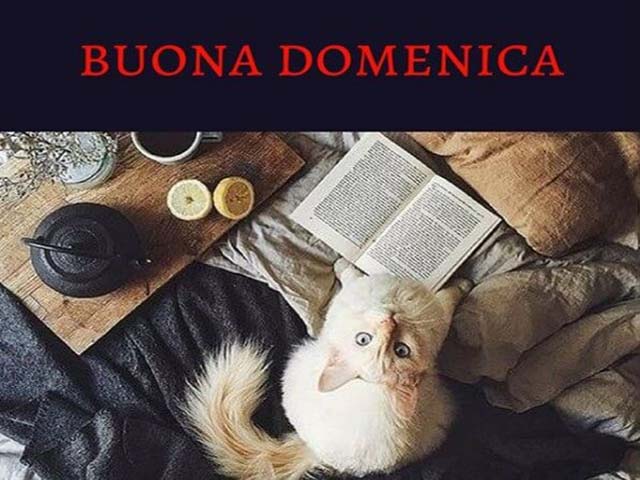 immagini della buona domenica