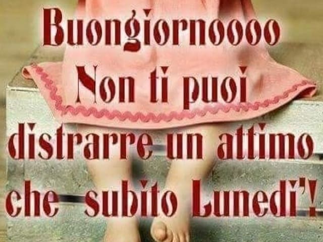 immagini divertenti buon lunedì