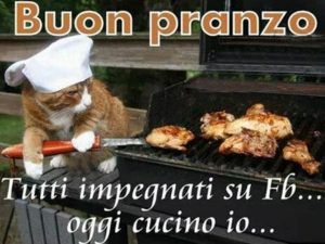 immagini divertenti buon pranzo