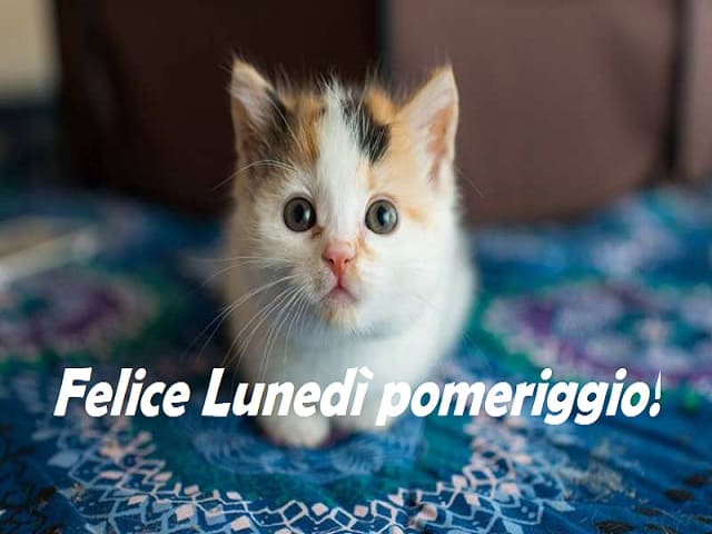 immagini lunedì