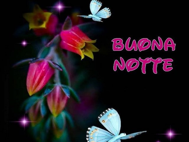 immagini sulla buona notte 9