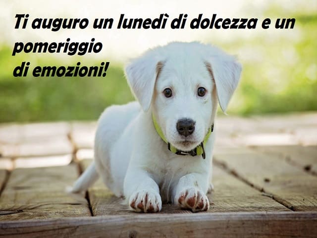 lunedì immagini