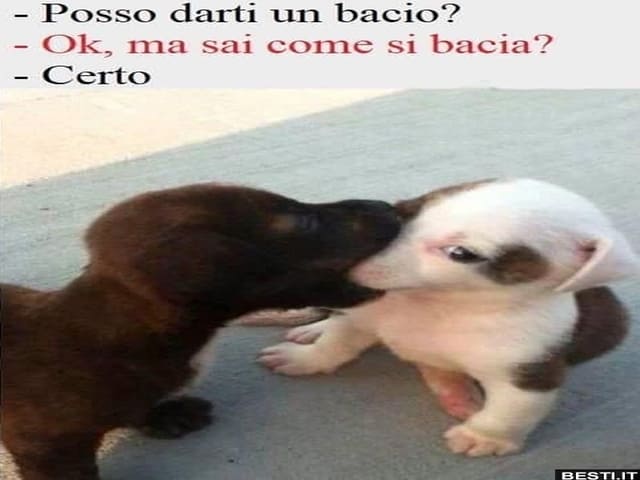 un bacio per te immagini 3