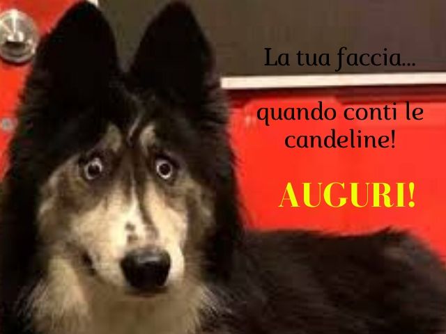 auguri compleanno divertenti immagini